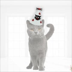 Kedi Doğum Günü Şapkası