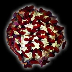 Led Işıklı Kelebek Buketi - 45cm x 30cm