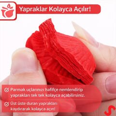 Yapay Gül Yaprakları, 144 Adet - Kırmızı