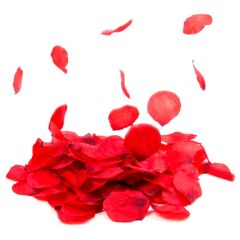 Gül Yapraklı Konfeti 30 cm