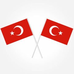 Türk Bayrağı Sopalı, 18cm x 12cm - 10 Adet