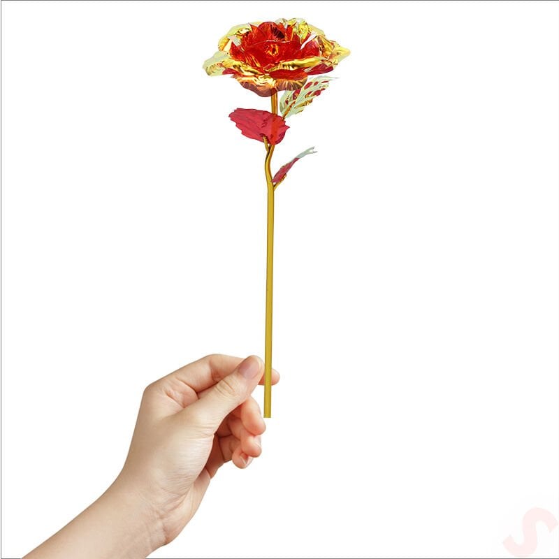 Sonsuzluk Gülü, 25 cm x 8cm - Kırmızı