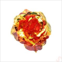 Sonsuzluk Gülü, 25 cm x 8cm - Kırmızı