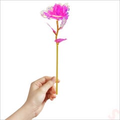 Sonsuzluk Gülü, 25 cm x 8cm - Pembe