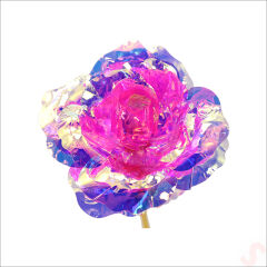 Sonsuzluk Gülü, 25 cm x 8cm - Pembe