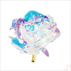 Sonsuzluk Gülü, 25 cm x 8cm - Hologram