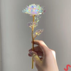 Sonsuzluk Gülü, 25 cm x 8cm - Hologram