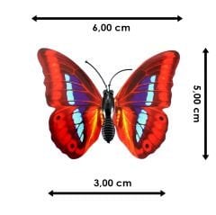 3 Boyutlu ve Mandallı, Çok Renkli Kelebek SüS - 5 Adet