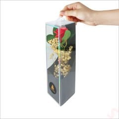 PVC Kutulu Cipsolu Yapay Kırmızı GÜL - 25cm x 7cm