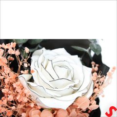 PVC Kutulu Beyaz Lüks Güllü Kuru Çiçek Buketi,26cmx12cm