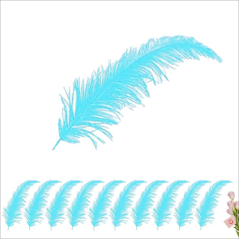 Şeffaf Balon İçi Kuş Tüyü, 100 Adet - Mavi