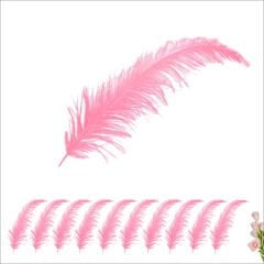 Şeffaf Balon İçi Kuş Tüyü, 100 Adet - Pembe