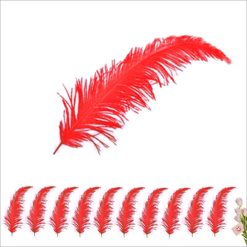 Şeffaf Balon İçi Kuş Tüyü, 100 Adet - Kırmızı