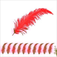 Şeffaf Balon İçi Kuş Tüyü, 100 Adet - Kırmızı