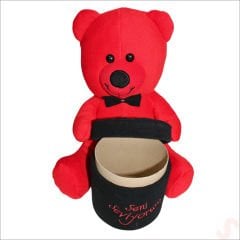 Pelüş Ayıcık Seni Seviyorum Kutu, 43 cm - Kırmızı