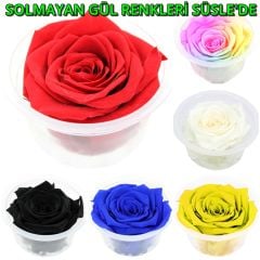 Şoklanmış Solmayan Gül, 5 cm - Kırmızı