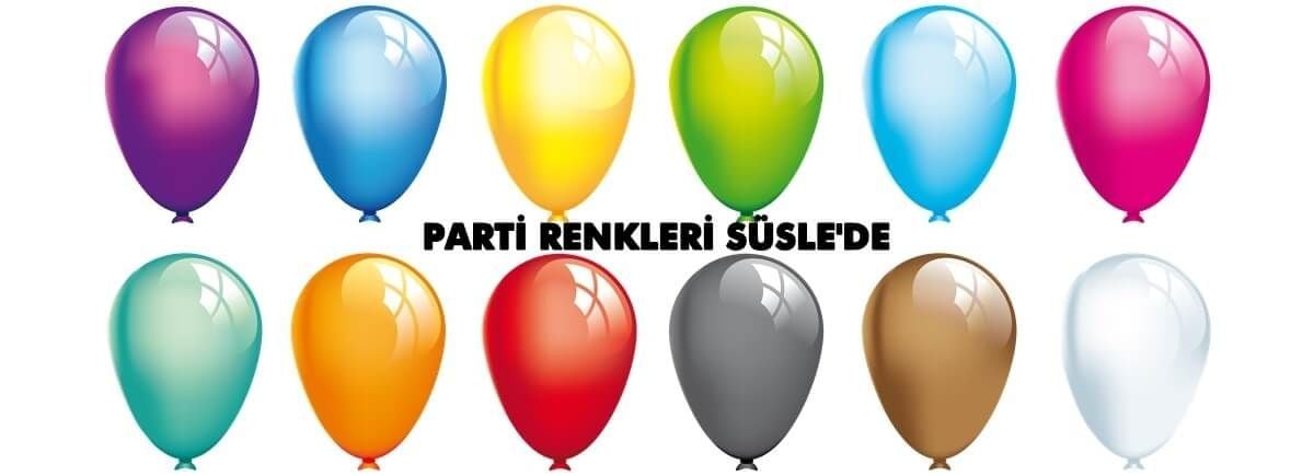PARTİ RENKLERİ